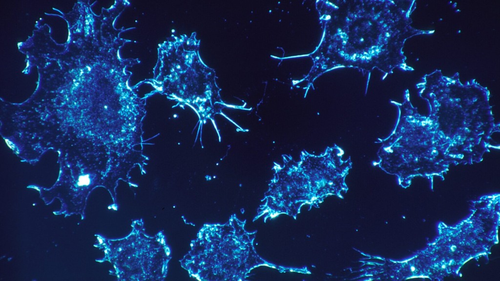 Cancer cells