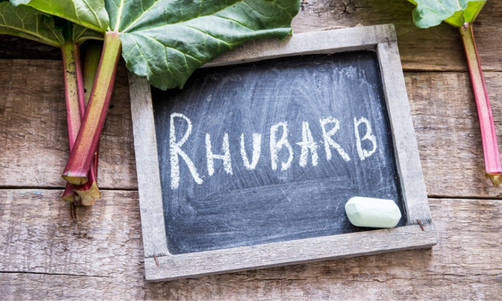 Chalkboard with word "Rhubarb" written on it