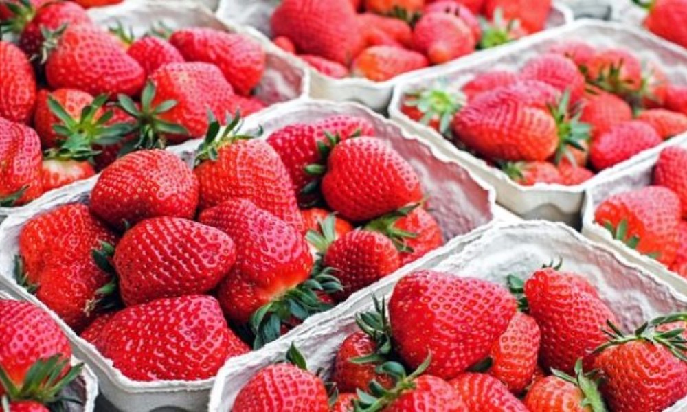 Cartons of strawberries