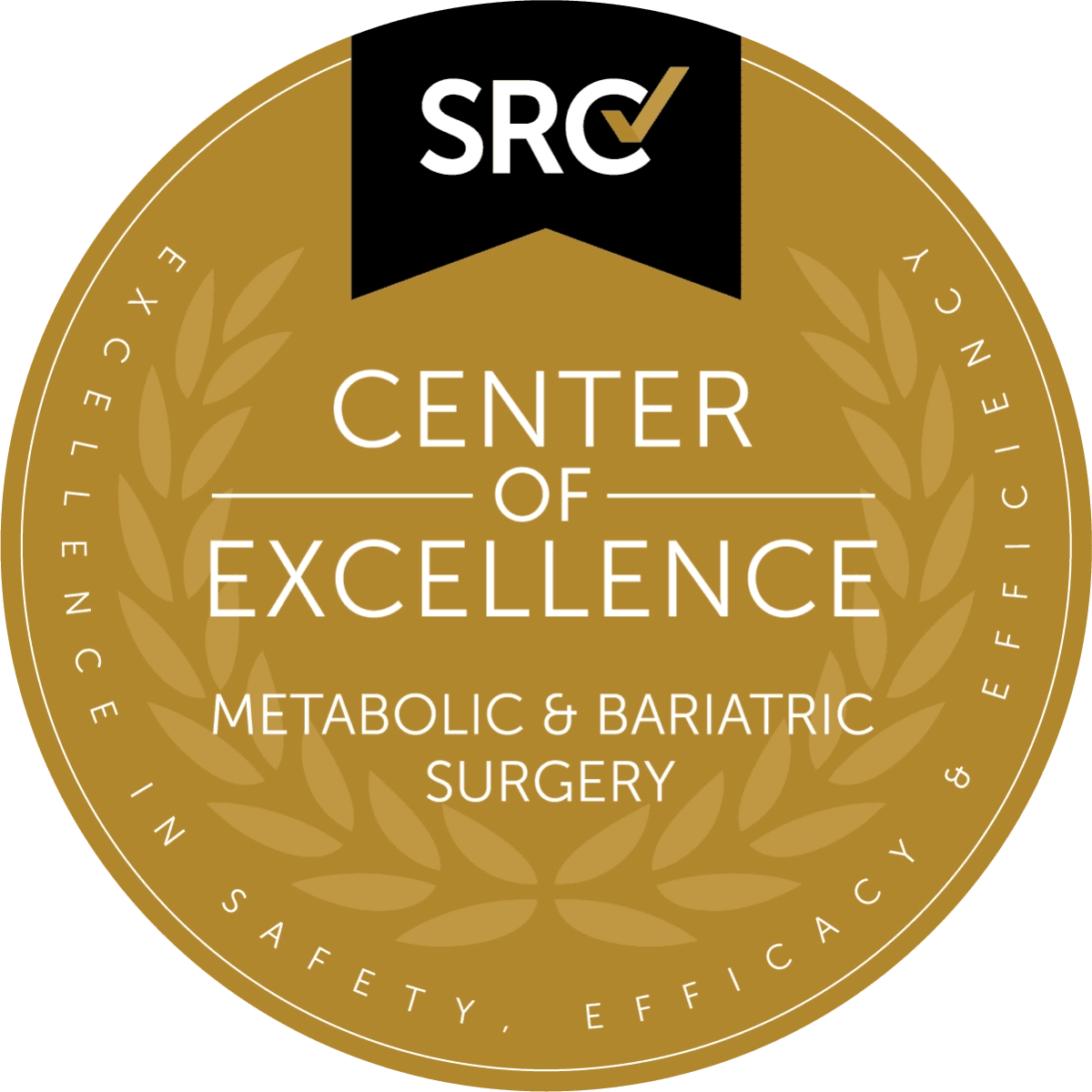 SRC Center of Excellence in Metabolic & Bariatric Surgery Seal